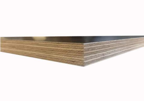 What is Chinese Eucalyptus Plywood?